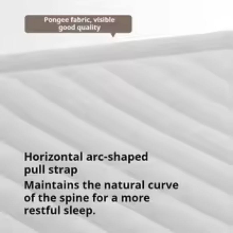 Inflatable Air Mattress Built- - Tech Queen recensie en prijs