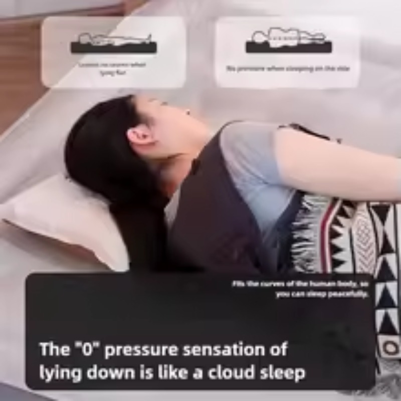Inflatable Air Mattress Built- - Tech Queen recensie en prijs
